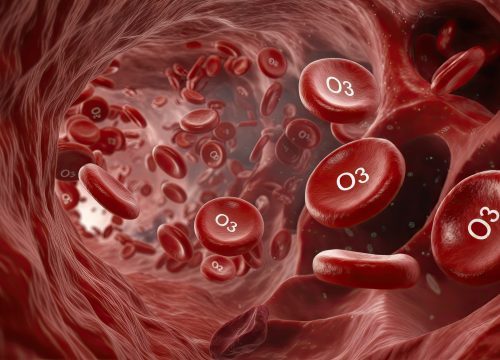 Rendering of red blood cells